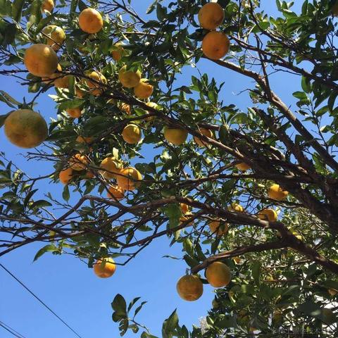 朱丽娜于2020-10-09 16:49发布的图片