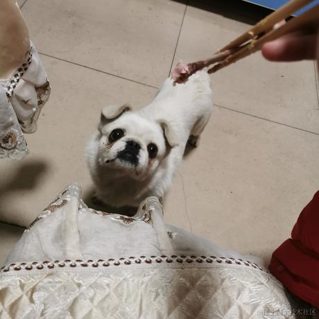 EZhu于2022-12-10 19:26发布的图片