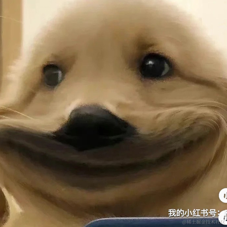 一拳一个小朋友于2022-09-11 12:50发布的图片