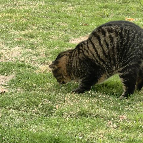 小栗帽永远的神于2022-11-21 10:33发布的图片