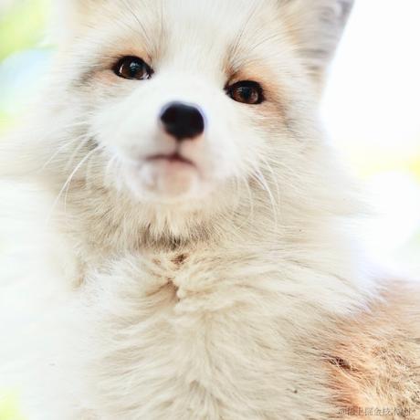 喵内500于2022-11-14 02:32发布的图片