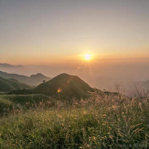 xfdd于2021-02-23 10:47发布的图片