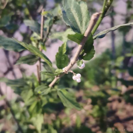 不可思于2023-04-17 08:21发布的图片