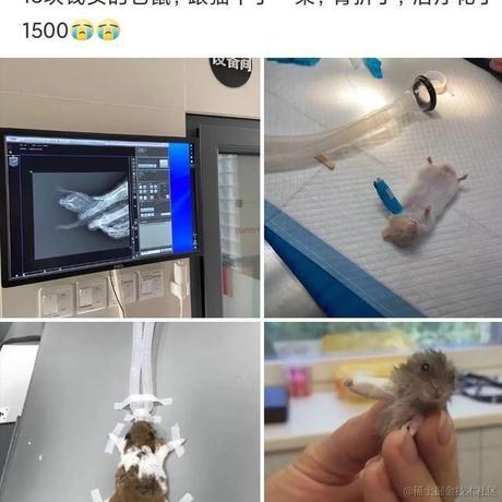 Apicall于2022-02-23 10:06发布的图片