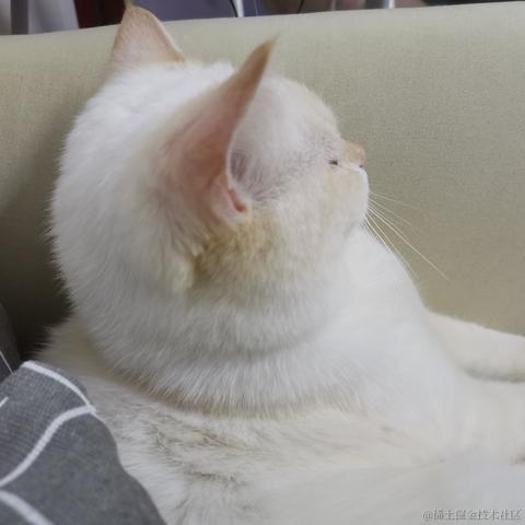 咩咩叫咩吖于2022-04-07 10:15发布的图片