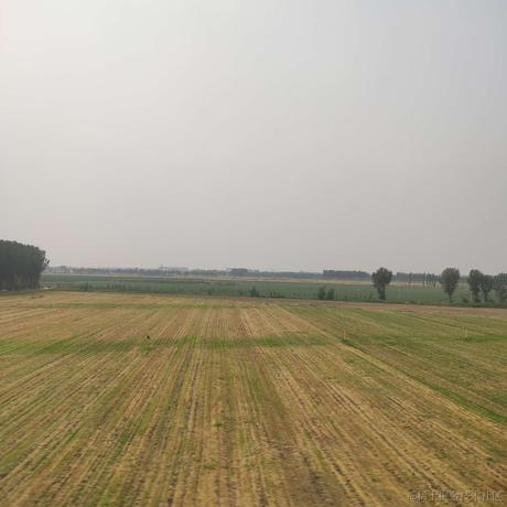 肖哥弹架构于2024-06-29 10:10发布的图片