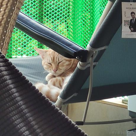 贝拉老公月光加冕于2022-11-12 15:55发布的图片