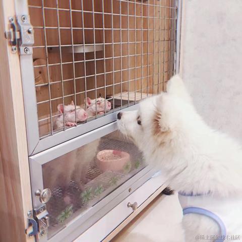 Deborah倩倩于2020-12-21 11:04发布的图片