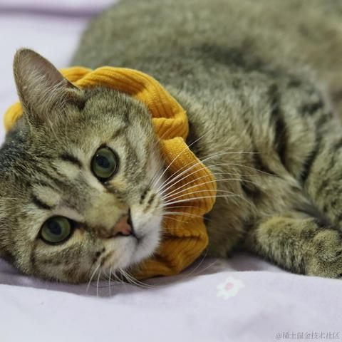 云里伴山于2023-05-19 16:22发布的图片