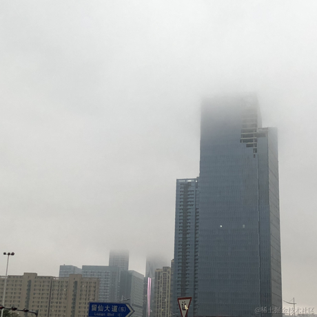 DogDogSuiSui于2020-12-12 16:44发布的图片