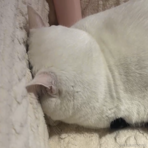 阿青青于2023-01-13 20:55发布的图片