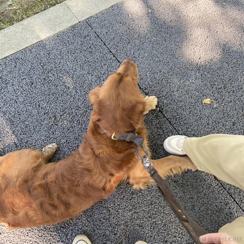 sexnhs于2023-07-08 12:27发布的图片