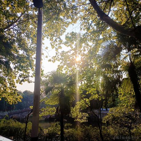 微信转账三百块于2022-09-19 23:14发布的图片