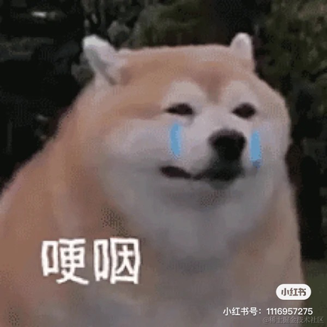 一拳一个小朋友于2022-04-26 14:59发布的图片