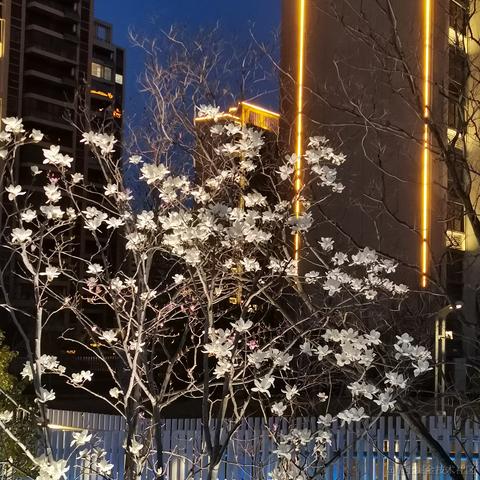 Dorri于2023-04-23 23:49发布的图片