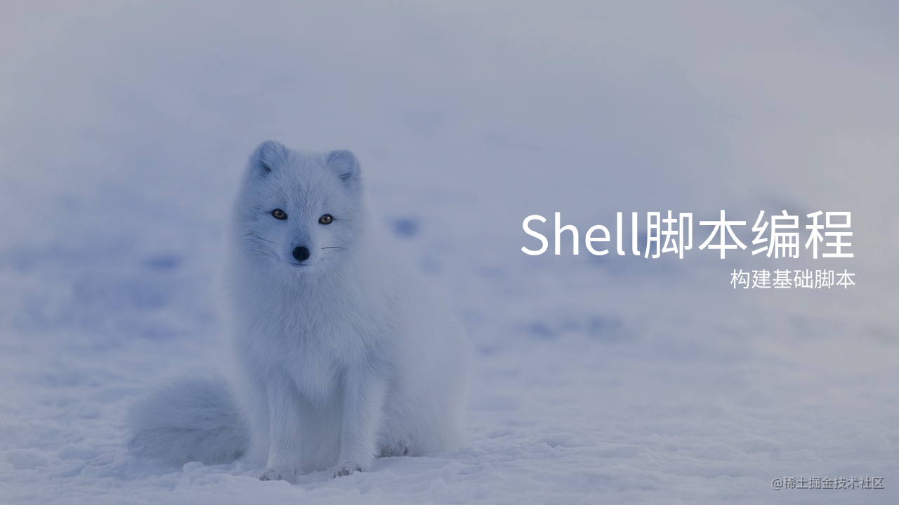 Shell脚本编程
