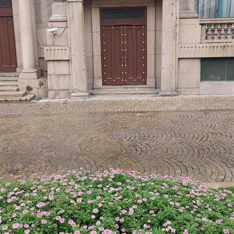 bysking于2023-06-20 08:18发布的图片