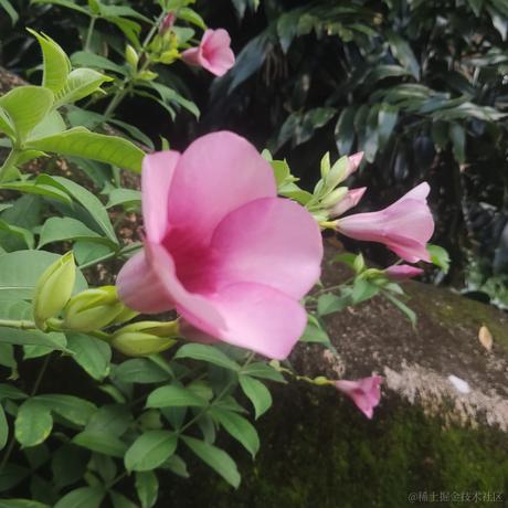 茅木车于2023-08-10 21:23发布的图片