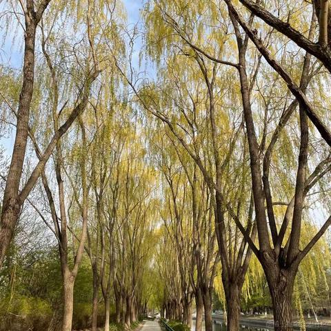 undingable于2022-04-12 15:57发布的图片