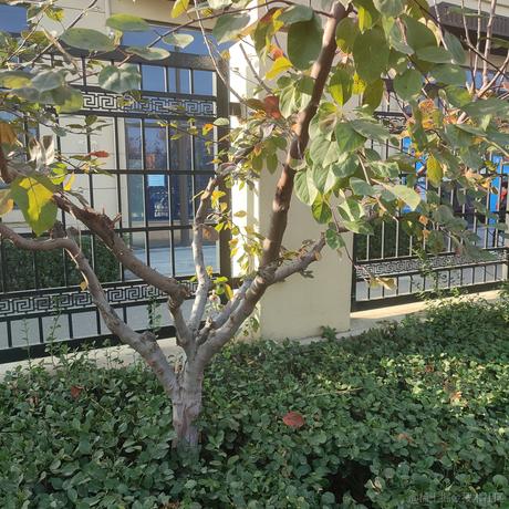 610单推人于2022-11-17 08:59发布的图片