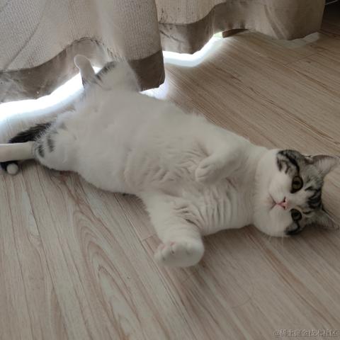 程序猿秃头之路于2022-01-08 10:10发布的图片