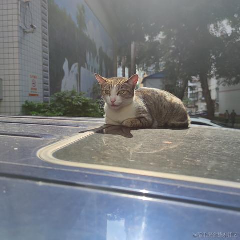 奔跑的水瓜于2022-02-22 09:44发布的图片