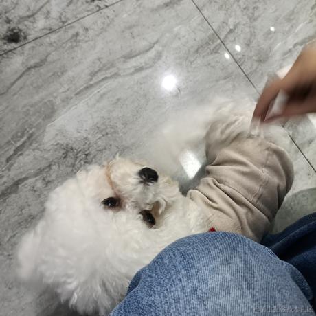 小碗顶晚喵于2022-12-01 20:16发布的图片