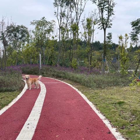 浓情chocolate于2022-11-13 15:23发布的图片