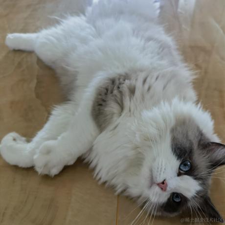 山楂水养成计划于2023-07-03 08:48发布的图片