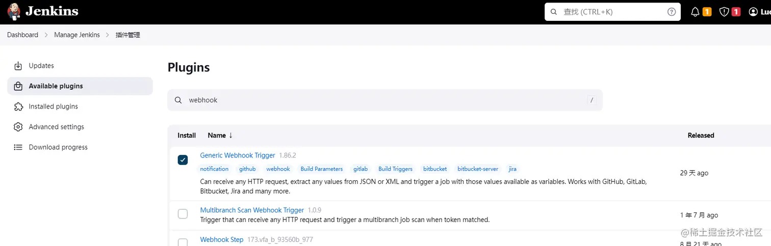 webhook plugin