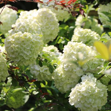 铸币小向晚于2023-07-08 22:44发布的图片