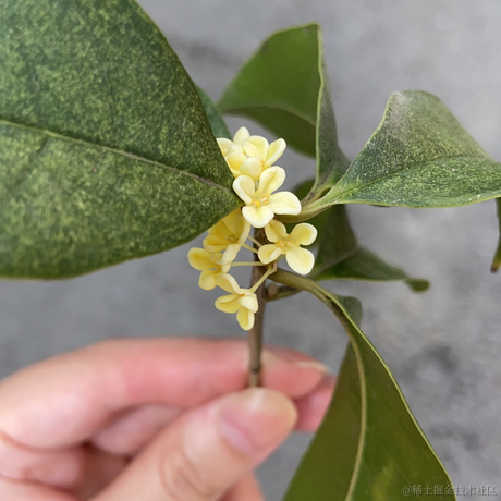 user1686881006375于2022-10-22 04:05发布的图片