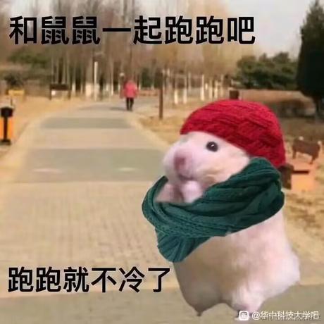 腐败药水于2022-12-08 14:18发布的图片