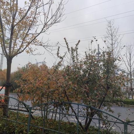 610单推人于2022-11-30 10:35发布的图片