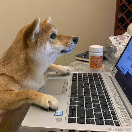 Little_Bear于2023-04-03 07:44发布的图片