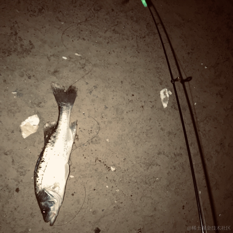 从热河到定西于2021-11-25 14:19发布的图片