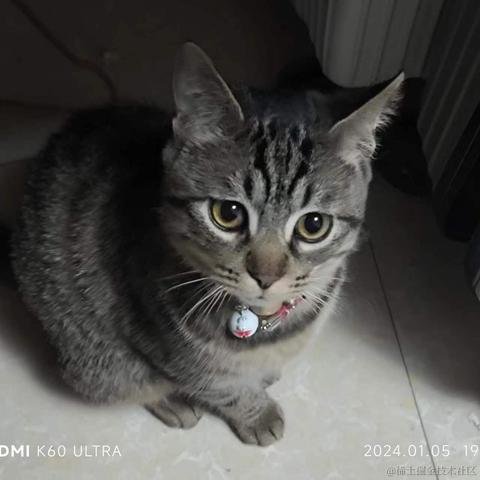 知_足于2024-01-08 14:36发布的图片