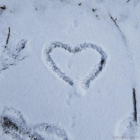 午夜狂鸽于2022-11-28 08:33发布的图片