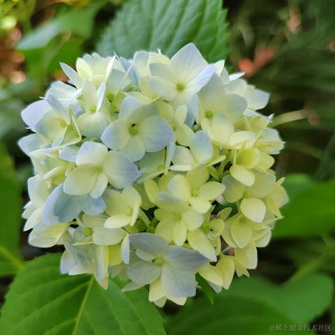 Sarah_于2024-05-17 10:12发布的图片