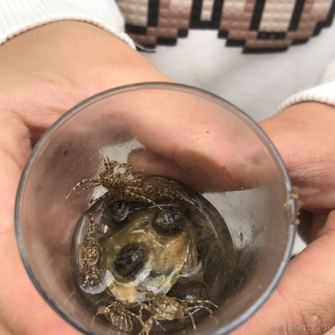 斌斌有鲤于2024-06-15 00:10发布的图片