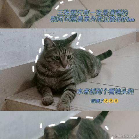 Raee于2023-05-06 20:28发布的图片