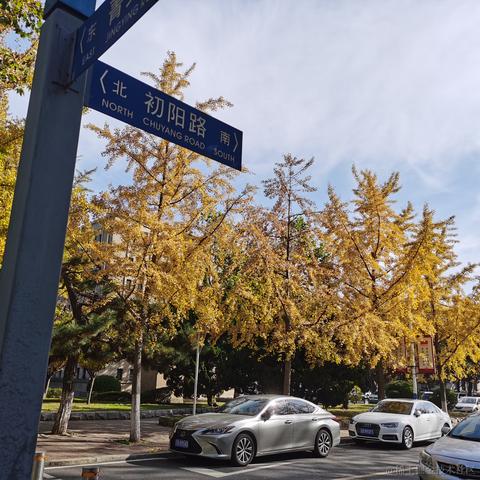 叮咚咚咚于2022-10-25 23:05发布的图片