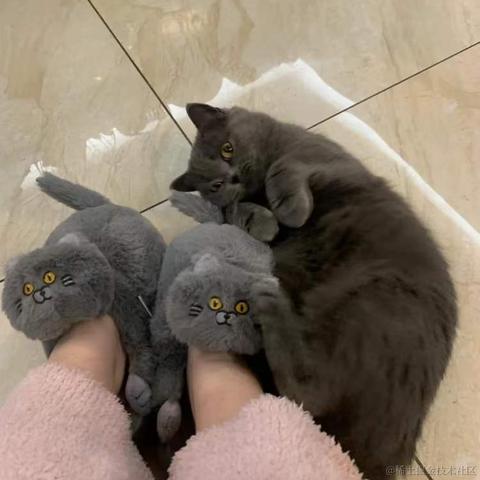BooBoo于2021-12-24 11:14发布的图片