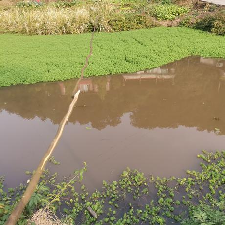 我家二宝最可爱了于2022-11-28 08:28发布的图片