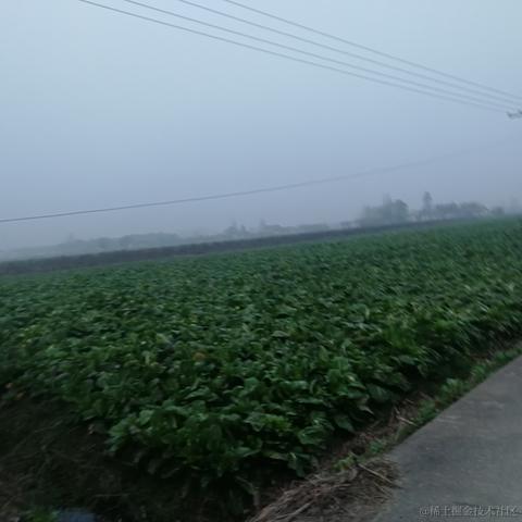 TheWQ于2022-07-06 10:05发布的图片