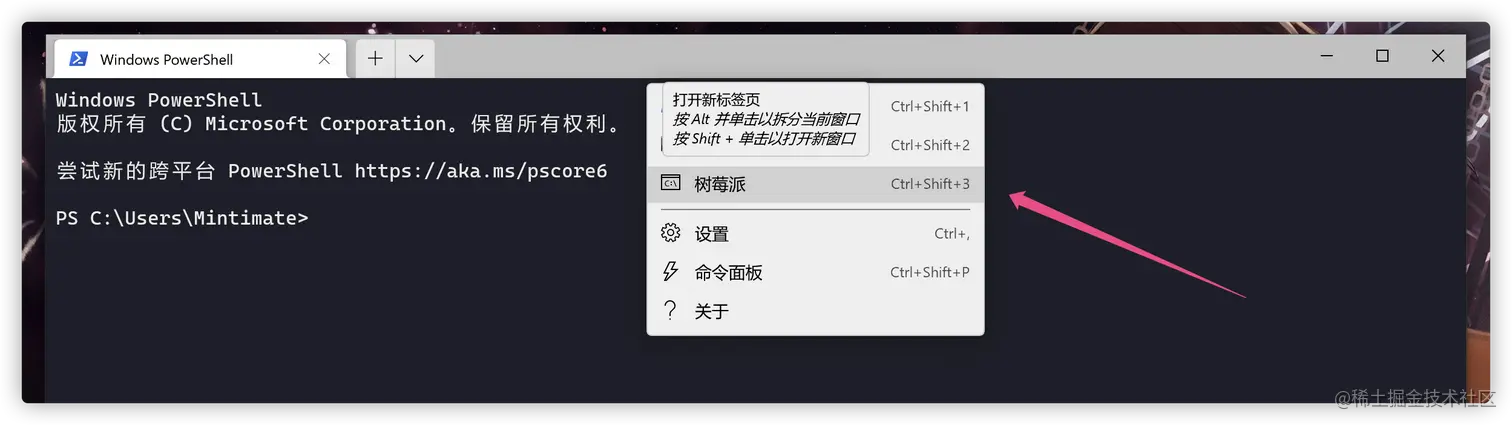 树莓派选项卡