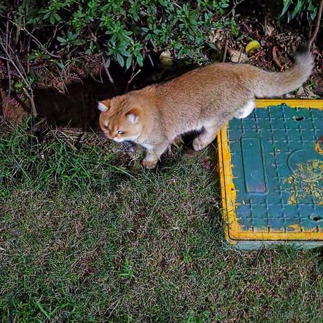 Boom3oom于2022-11-28 10:45发布的图片