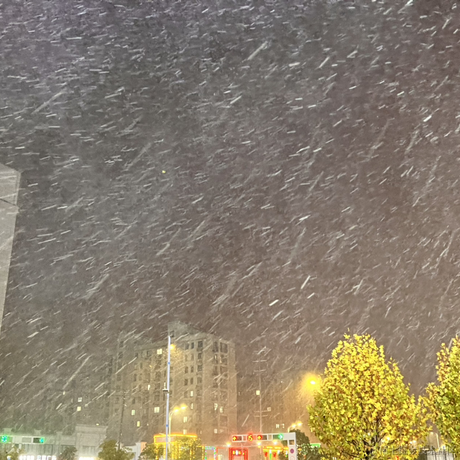 ava小魔王于2022-11-29 20:08发布的图片