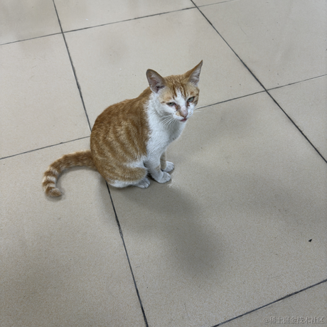 472772于2023-03-22 10:10发布的图片