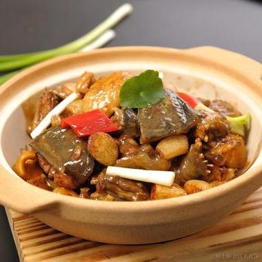 Tiger_H_W于2023-04-30 06:03发布的图片